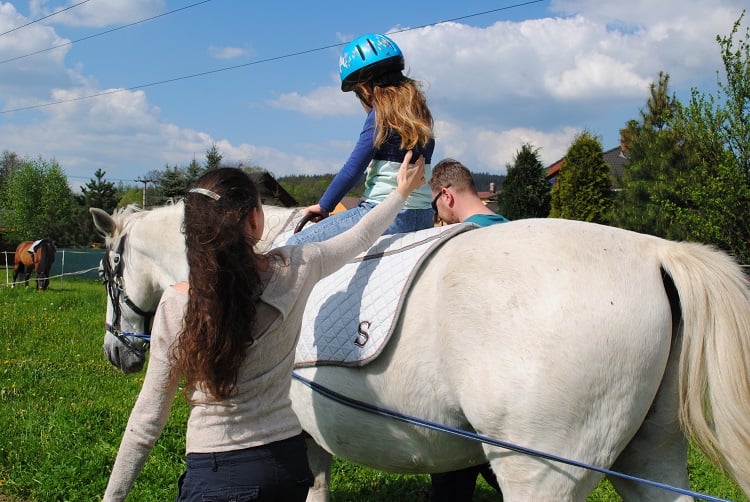 Sdružení CHEWAL, z.s.