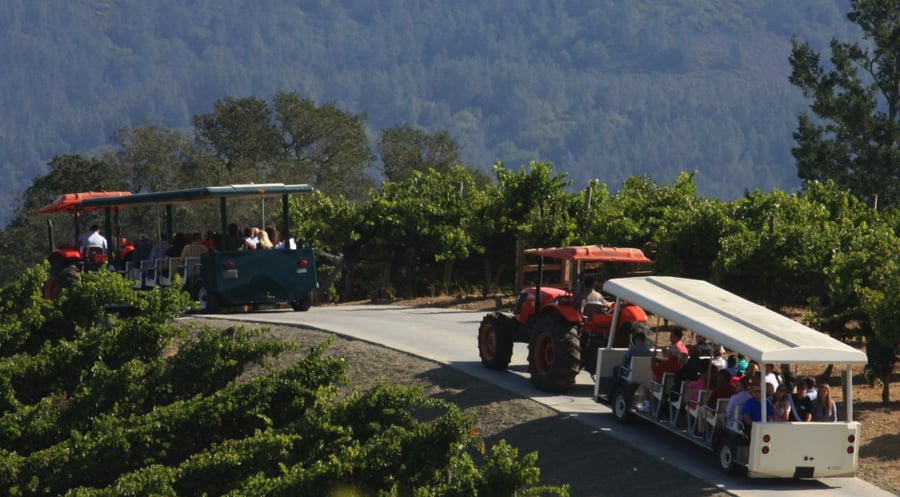 Benzinger Family Winery
