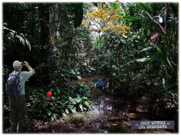 The Orchid and Botanical Garden of Puyo, Ecuador