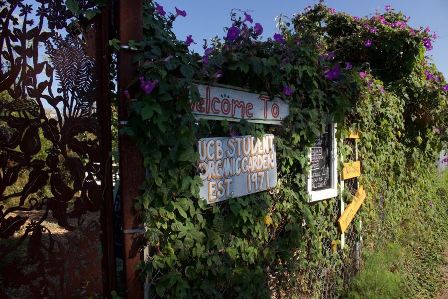 Student Organic Garden