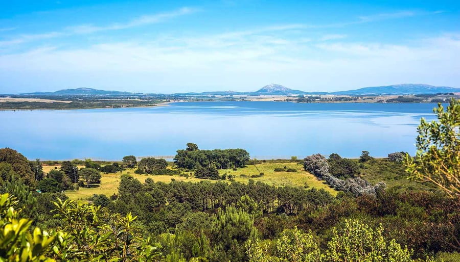 Protecting Land in Uruguay