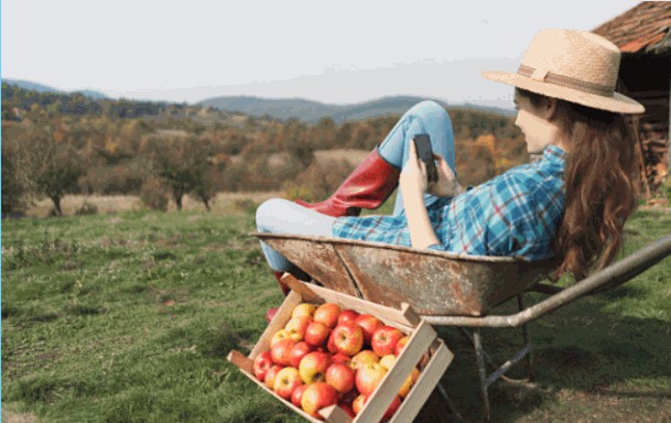 Farmer's Market Service