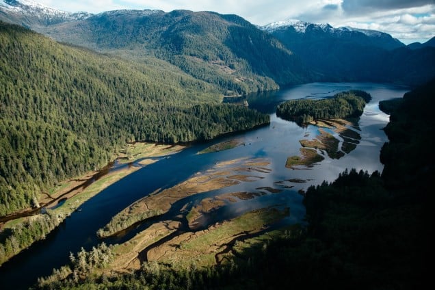 The Rainforest Solutions Project- Tides Canada Initiative