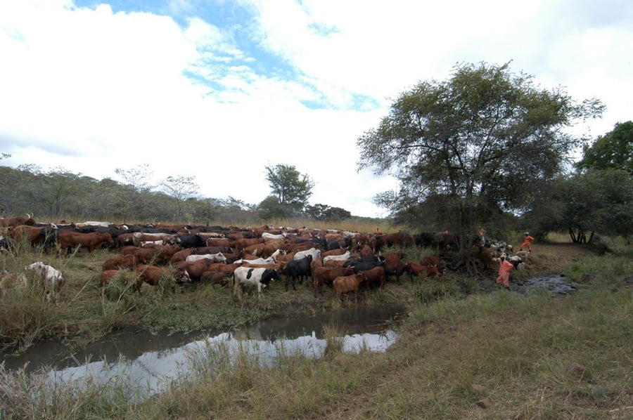 Operation Hope: Permanent water and food security for Africa’s impoverished millions