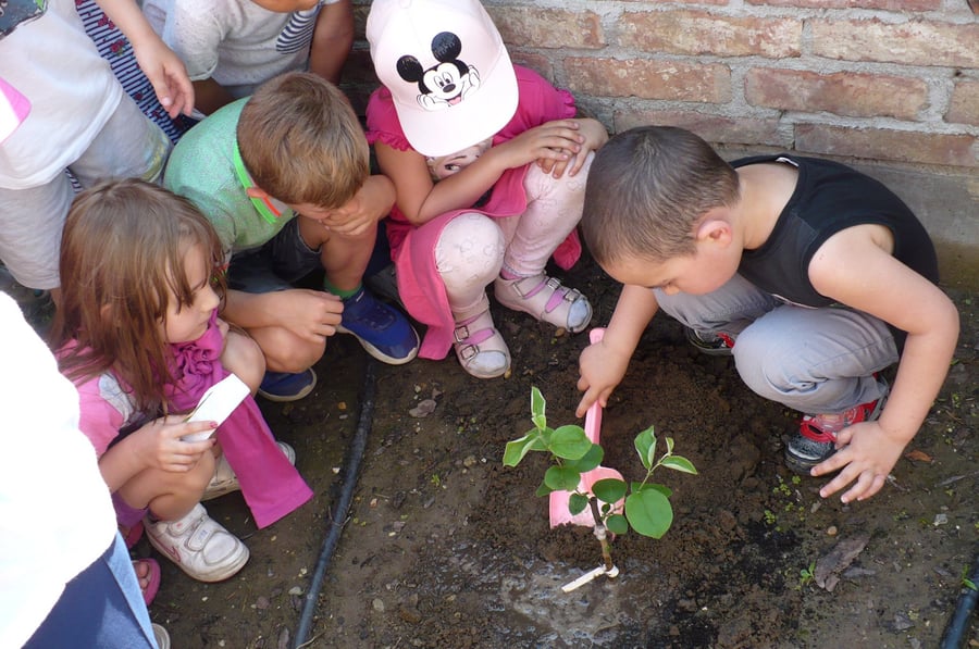 Connecting sustainable energy practices with the protection of biodiversity and creating local gardens