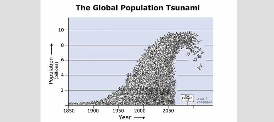 Sustainable population size