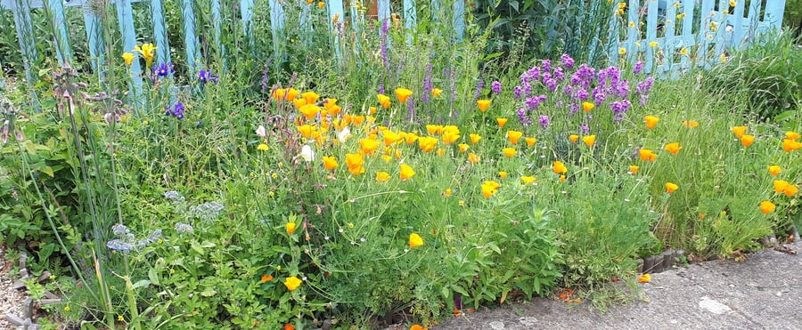 Wildlife-friendly estate
