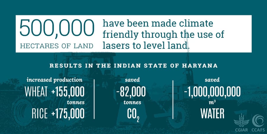 Precision water management in rice and wheat in Haryana, India