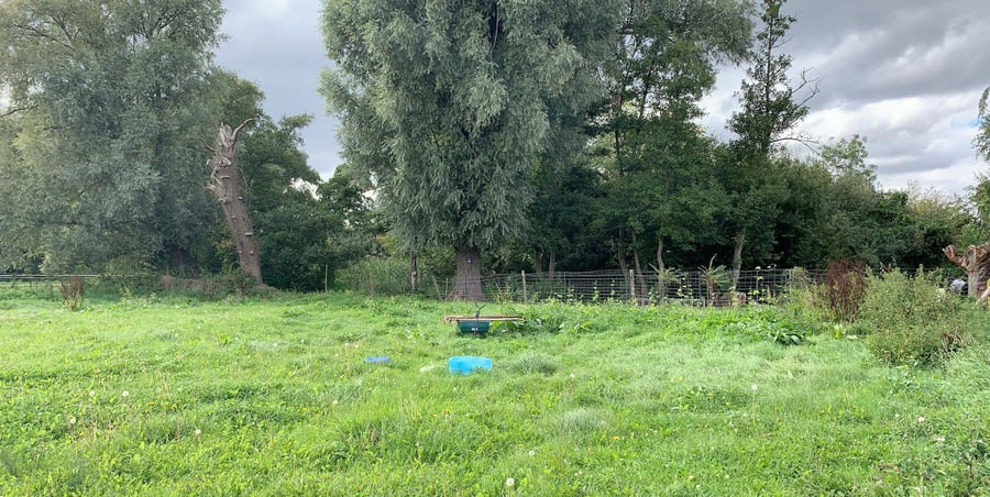 Ô Jardin D'Eden, zone permaculture