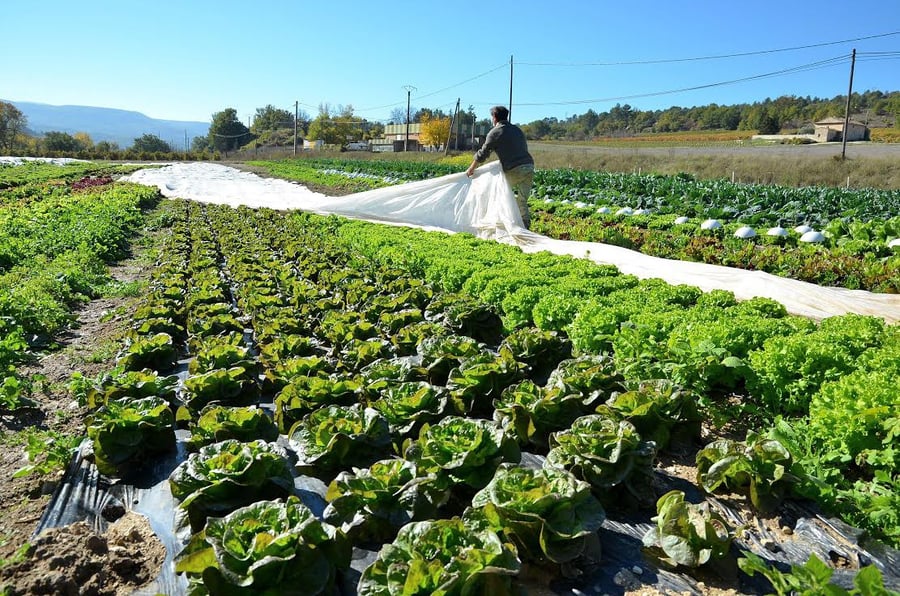 AM'APT Association d'aide au maintien de l'agriculture paysanne produits biologiques