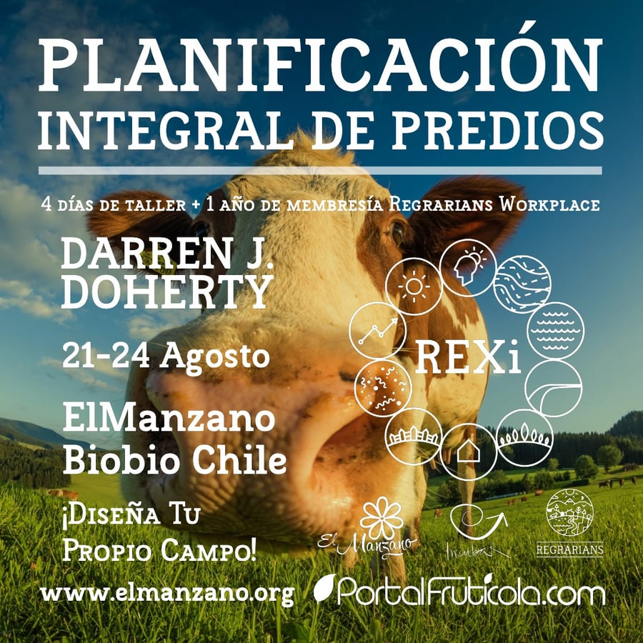 Diseña Tu Propio Campo para la Regeneración REXi