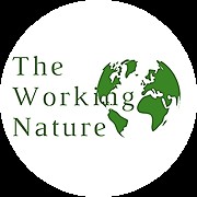 Sequestering Carbon in the Soil