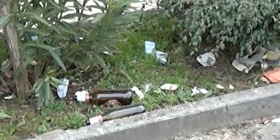 Pulizia parchi di Milano