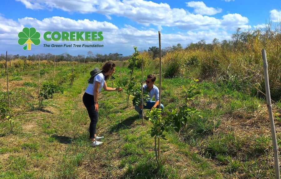 Corekees | The Green Fuel Tree Foundation