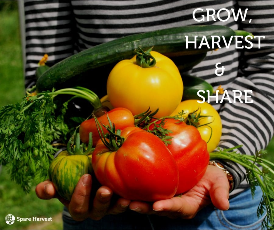 Spare Harvest