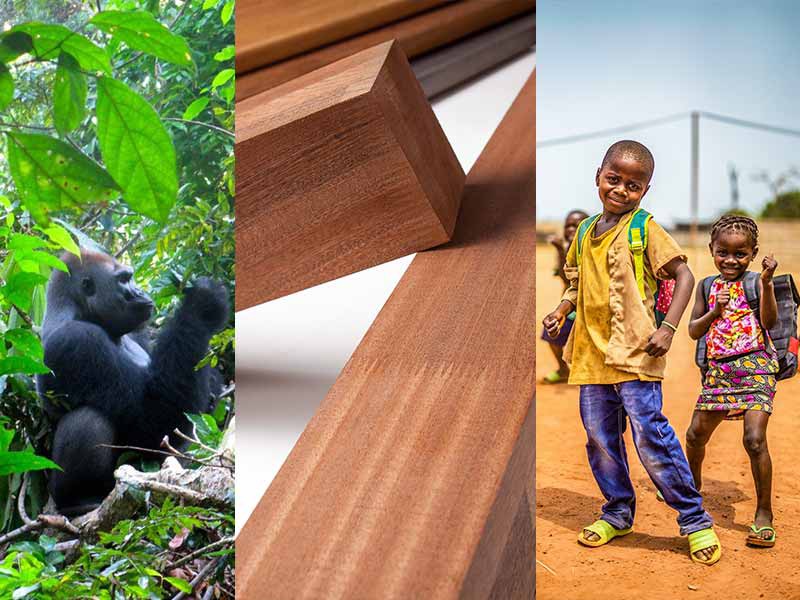 INTERHOLCO's Sustainable Hardwood - Made in Africa