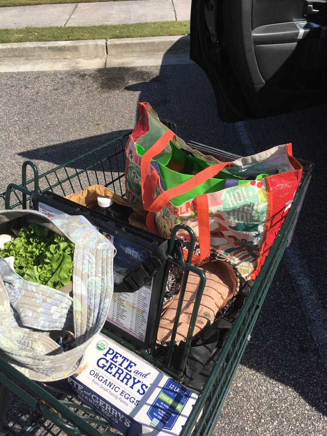 Use reusable bags instead of plastic