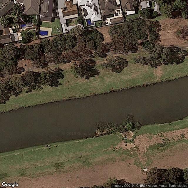 Conserving nature in the Torrens