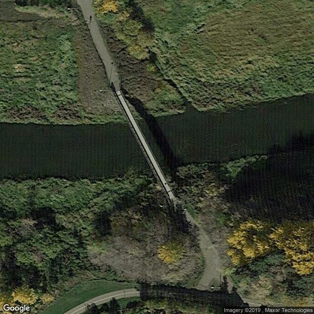 Talking a walk