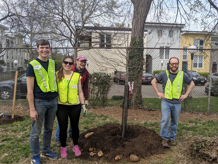 Donate to Casey Trees and Volunteer To Plant Trees In DC