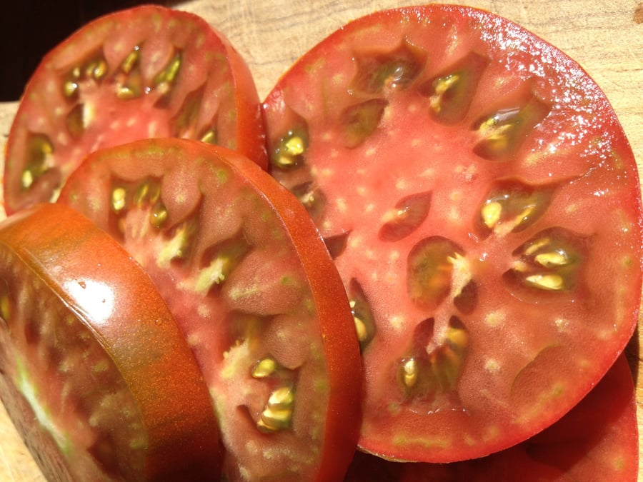 meatless monday