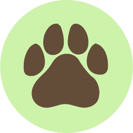 Raising a pet with ecological responsibility