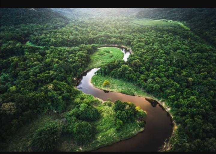 Ecosystem & Conservation of Amazon rainforest