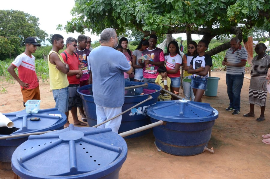 Aquaponics and Urban Farming