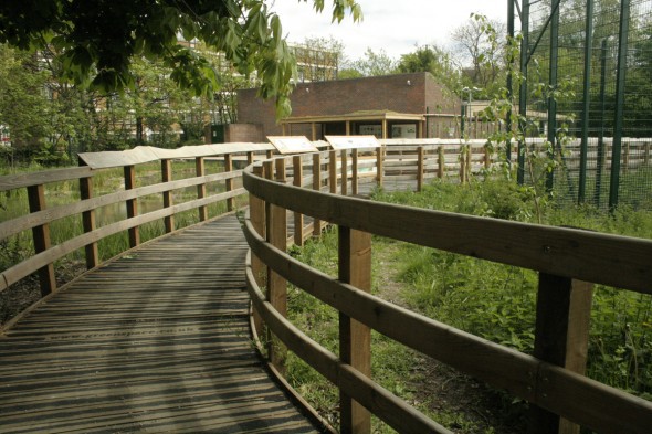 Paddington Recreation Ground