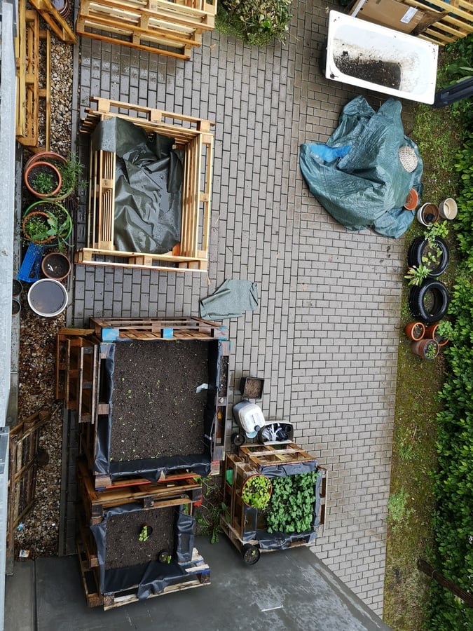 Urban Gardening