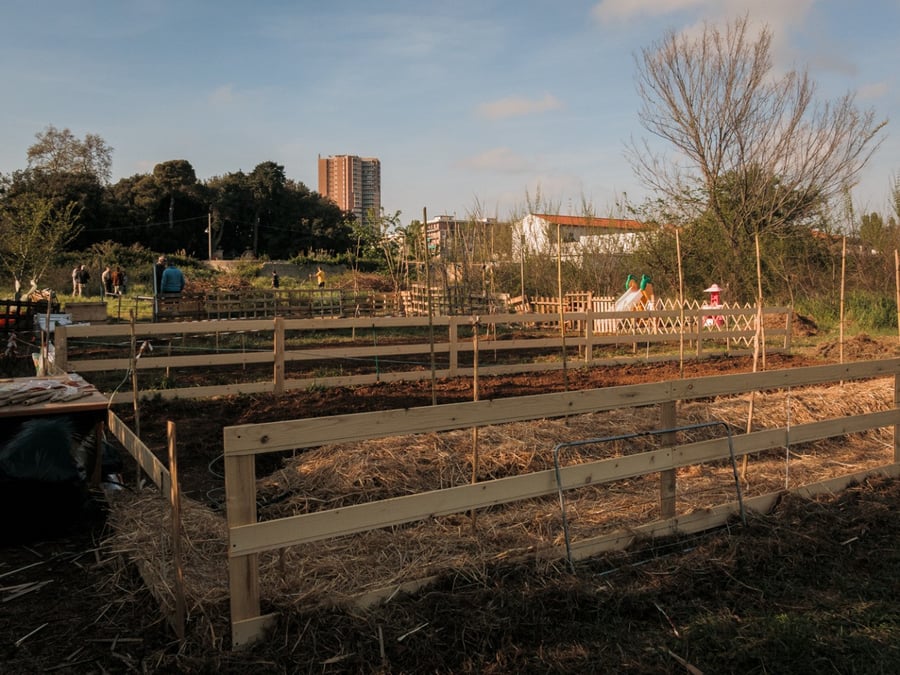 Orti Urbani di via Goito