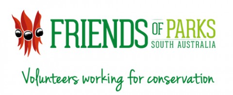 Volunteer at you local 'Friends of Parks' or Trees for Life