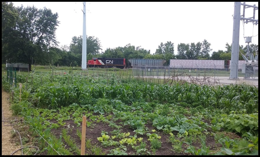 8th Street Community Garden