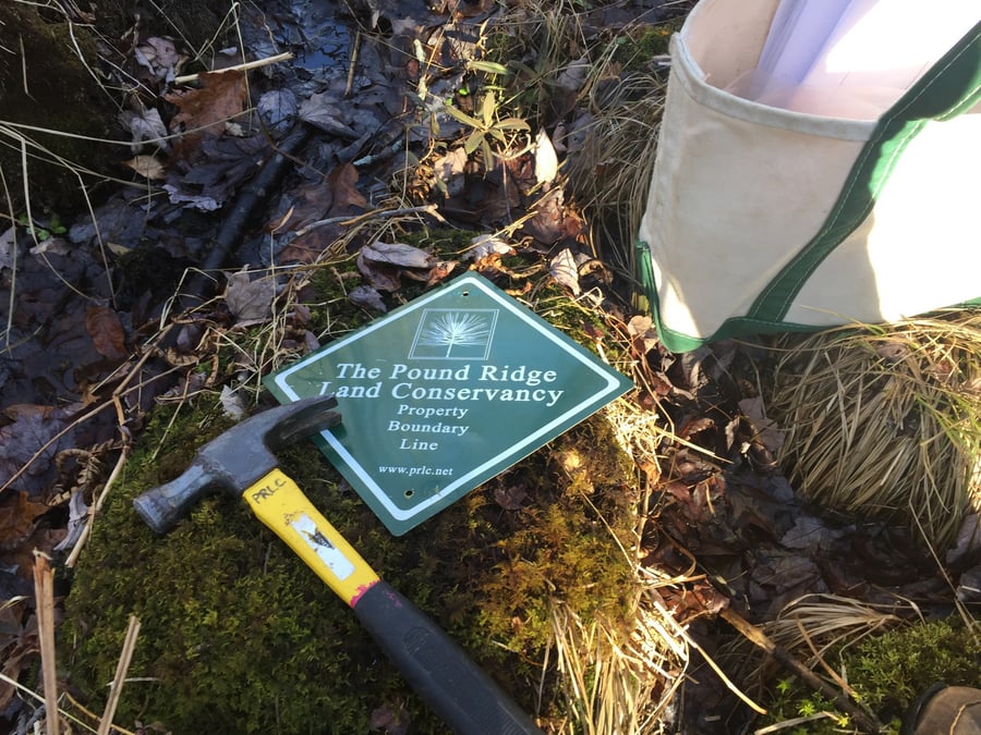 Pound Ridge Land Conservancy