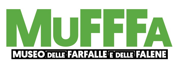 Casa Delle Farfale
