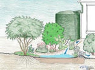 Rainwater Harvesting
