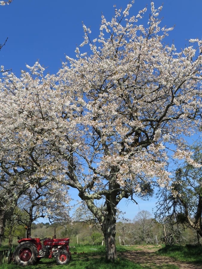 GAEC Ferme du Kozker