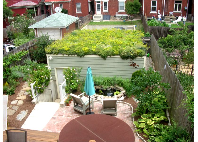 Green roofs