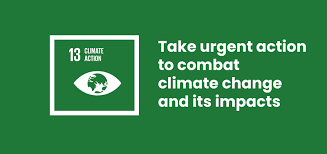 AcadeCap School-Wide Project: Take a Step Toward Climate Action
