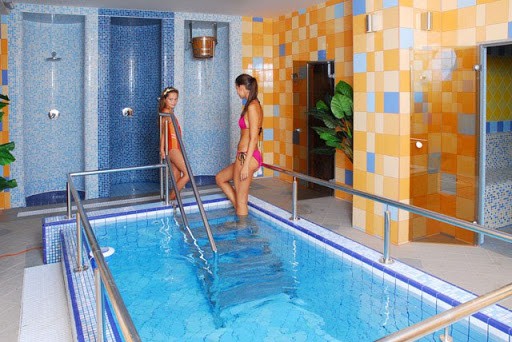 Hotel Nivy