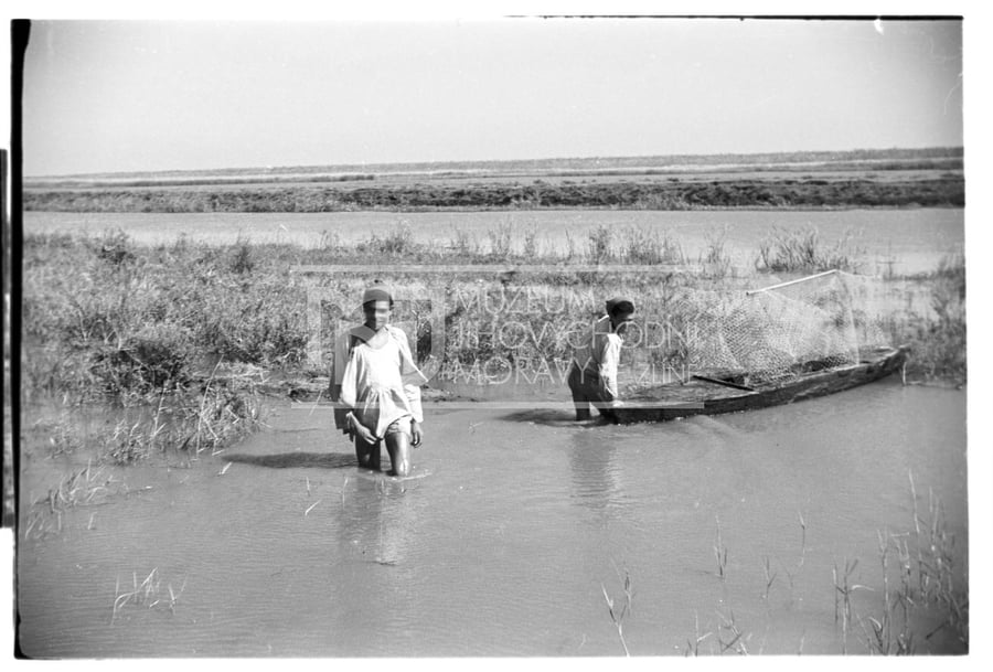 Nilská delta