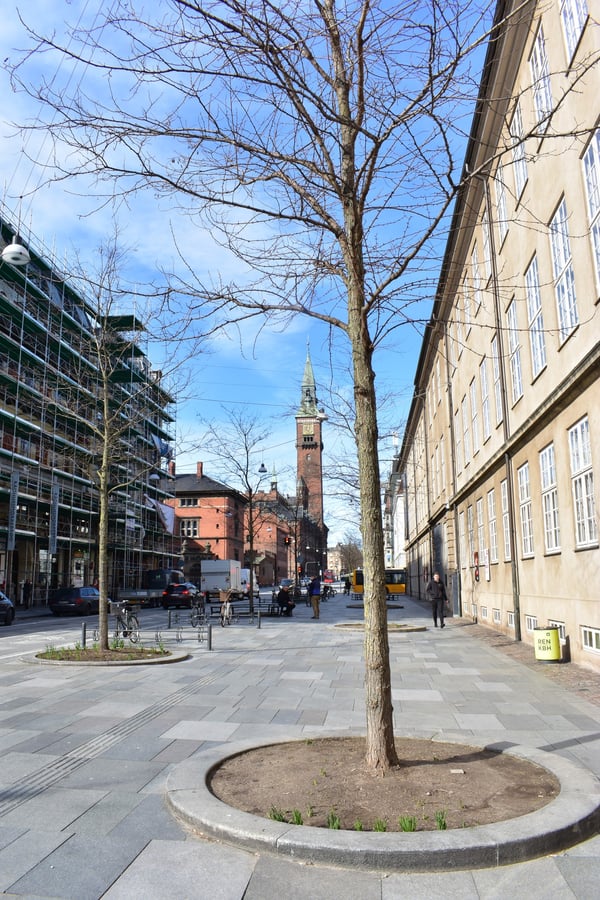 Vester Voldgade