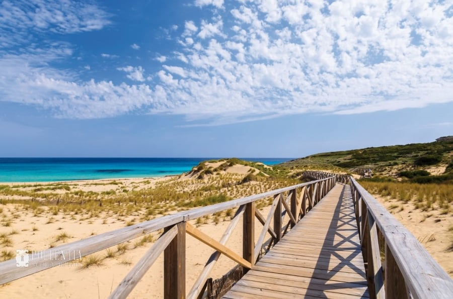 Colonia de Sant Pere