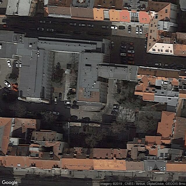 VFN Imuno