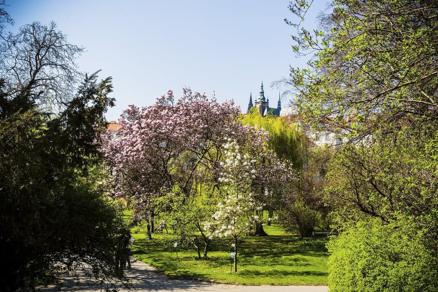 Vojanovy sady