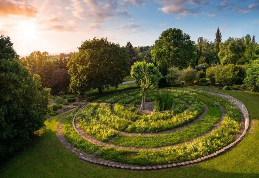 Botanická zahrada a arboretum Mendelovy univerzity v Brně
