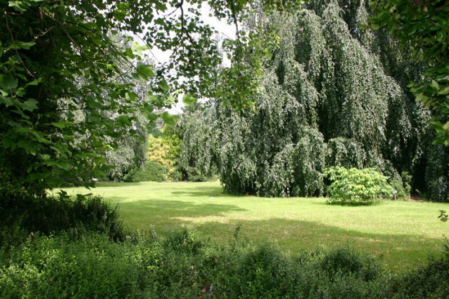 Botanická zahrada Děčín Libverda