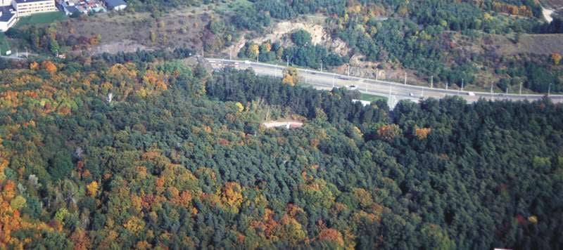 Přírodní park Košíře-Motol