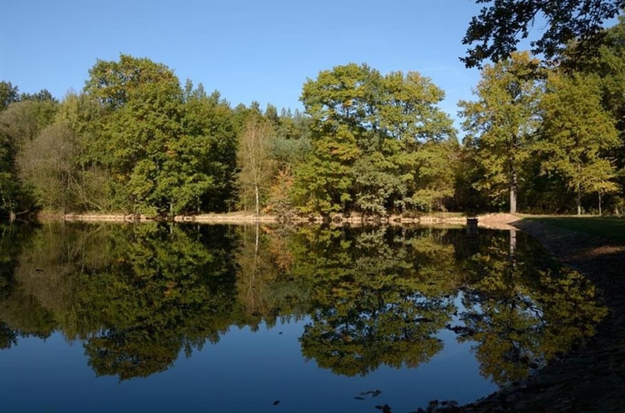 Přírodní park Klánovice-Čihadla