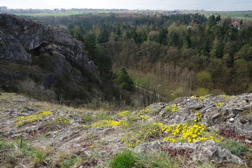Přírodní park Prokopské a Dalejské údolí